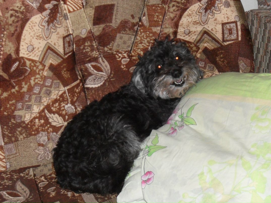 Татьяна Пихтовникова | Тольятти