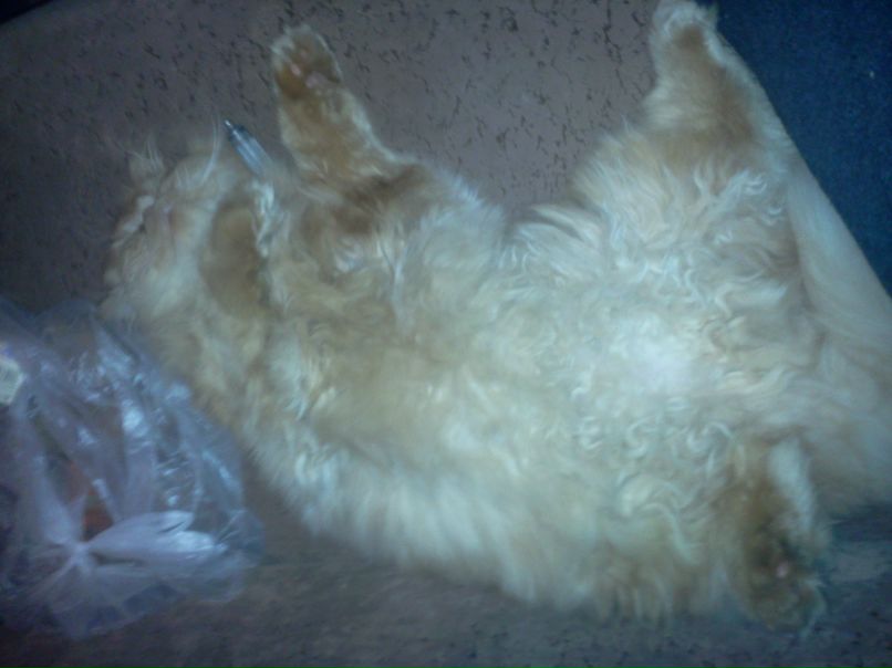 Дмитрий Одесский | Одесса