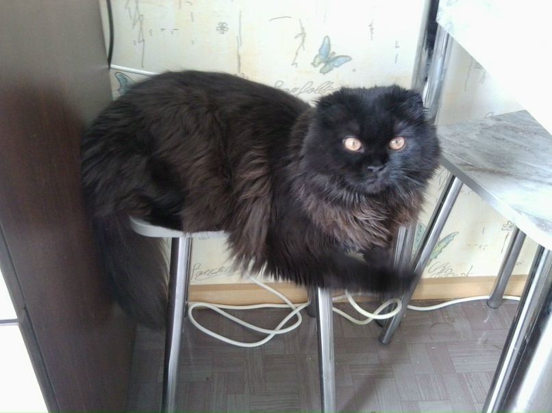 Алёна Уткина-Артёмова | Самара