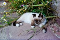 №12 Александра Гореликова 16.11.1990: профиль, фото, статус - ВКонтакте