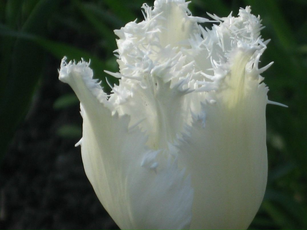 Оксана Гончарова | Санкт-Петербург