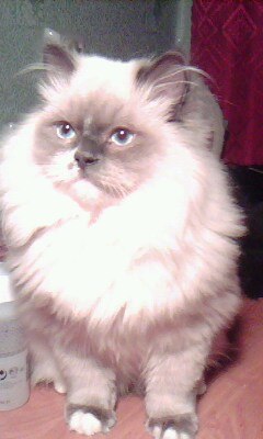 Наталья Марушкова(Смирнова) | Кадуй (деревня)