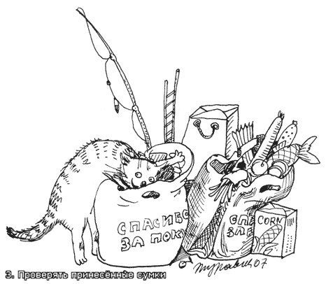 №2, Таня Ромашкина, Тольятти №2, Таня Ромашкина, Тольятти