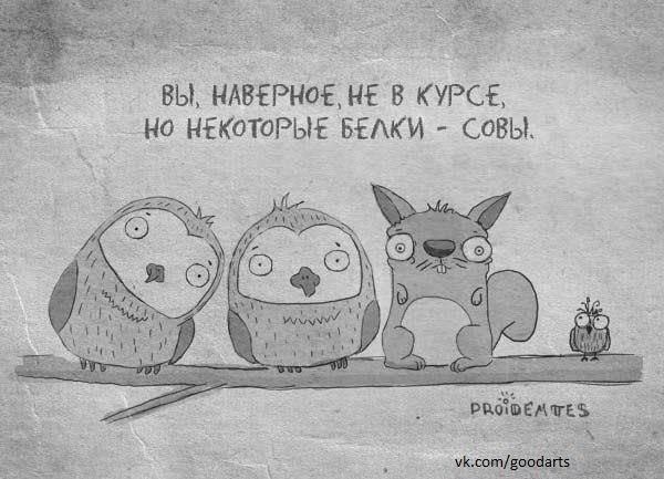 Белки истерички