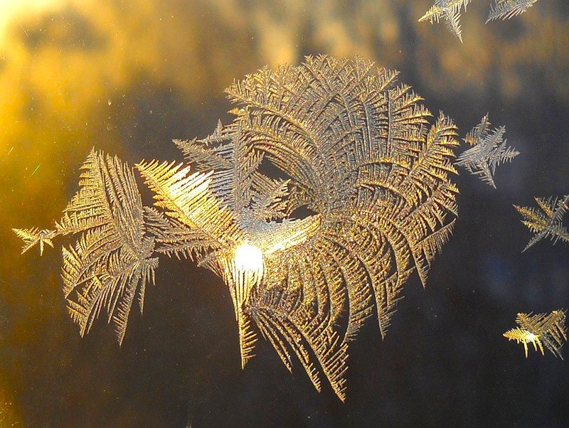 Людмила Соловьева | Санкт-Петербург