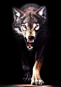 Павел Гузев | Набережные Челны