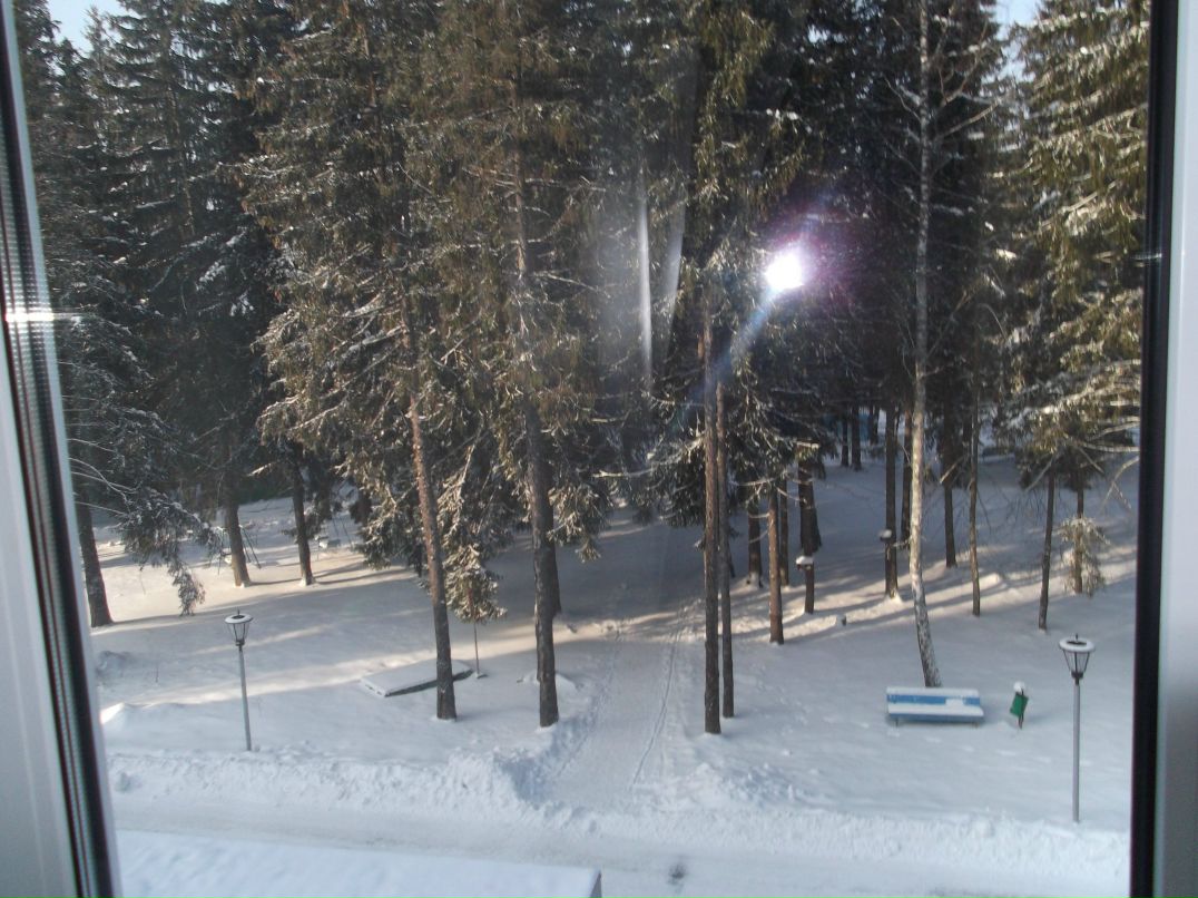 Лейла Дашдиева | Ростов-на-Дону