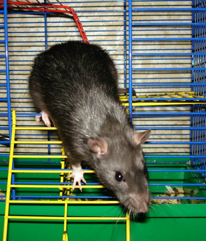 Андрей Тумашев | Мариуполь