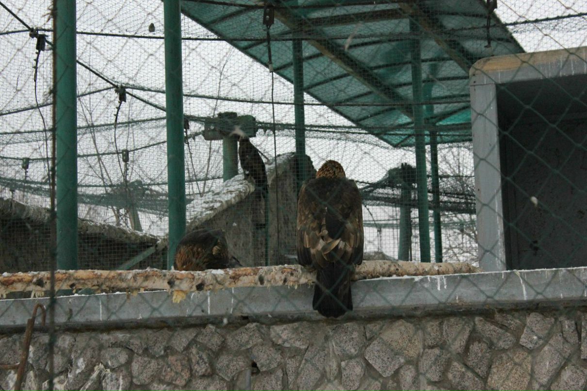 Екатерина Голубенко | Санкт-Петербург