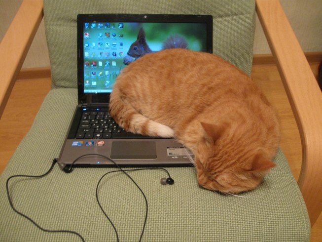 Артем Чистяков | Москва