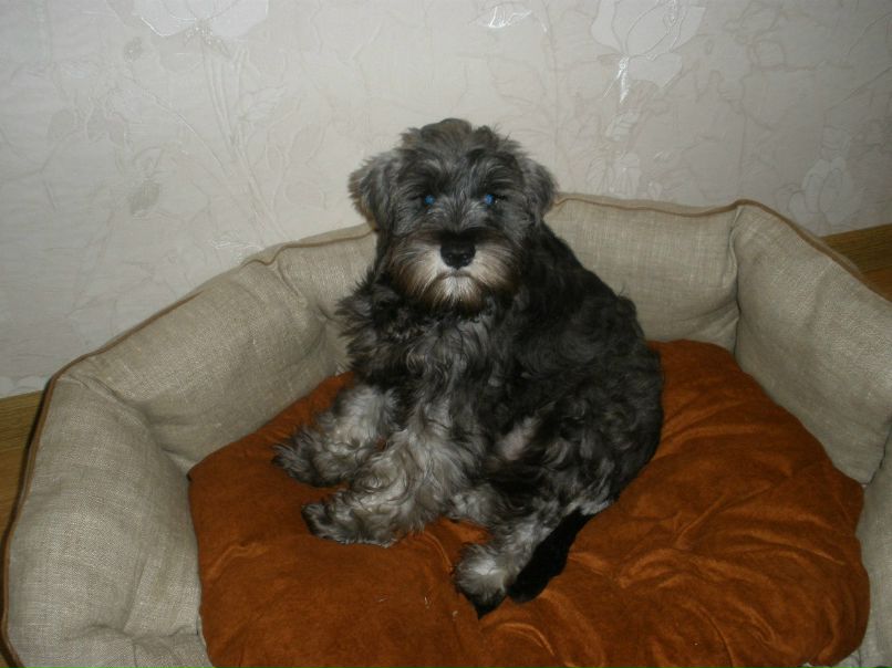 Миша Холод | Киев