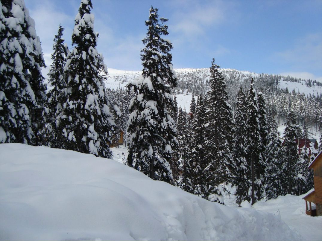 Игорь Плеханов | San Diego