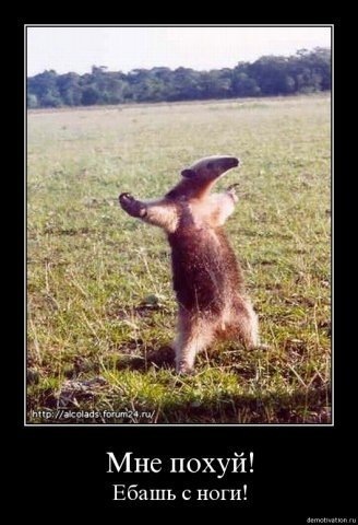 №47, Алексей Янкин, Budva №47, Алексей Янкин, Budva