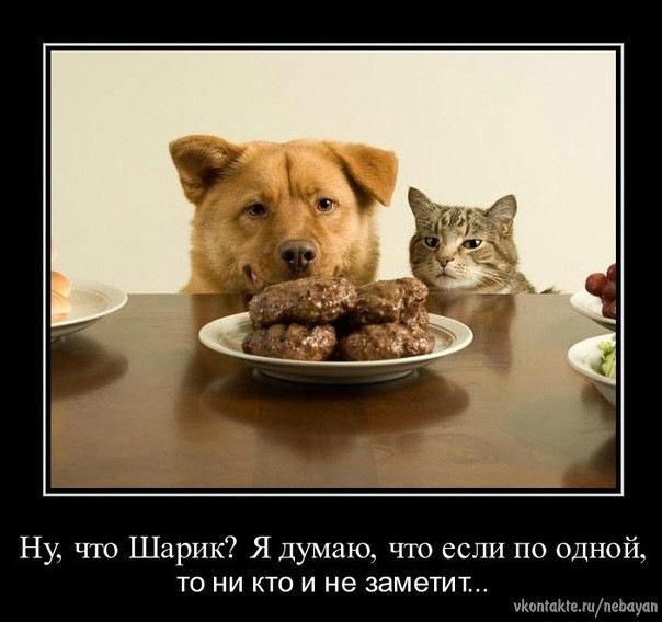 №89, Светлана Бурова, 49 лет №89, Светлана Бурова, 49 лет