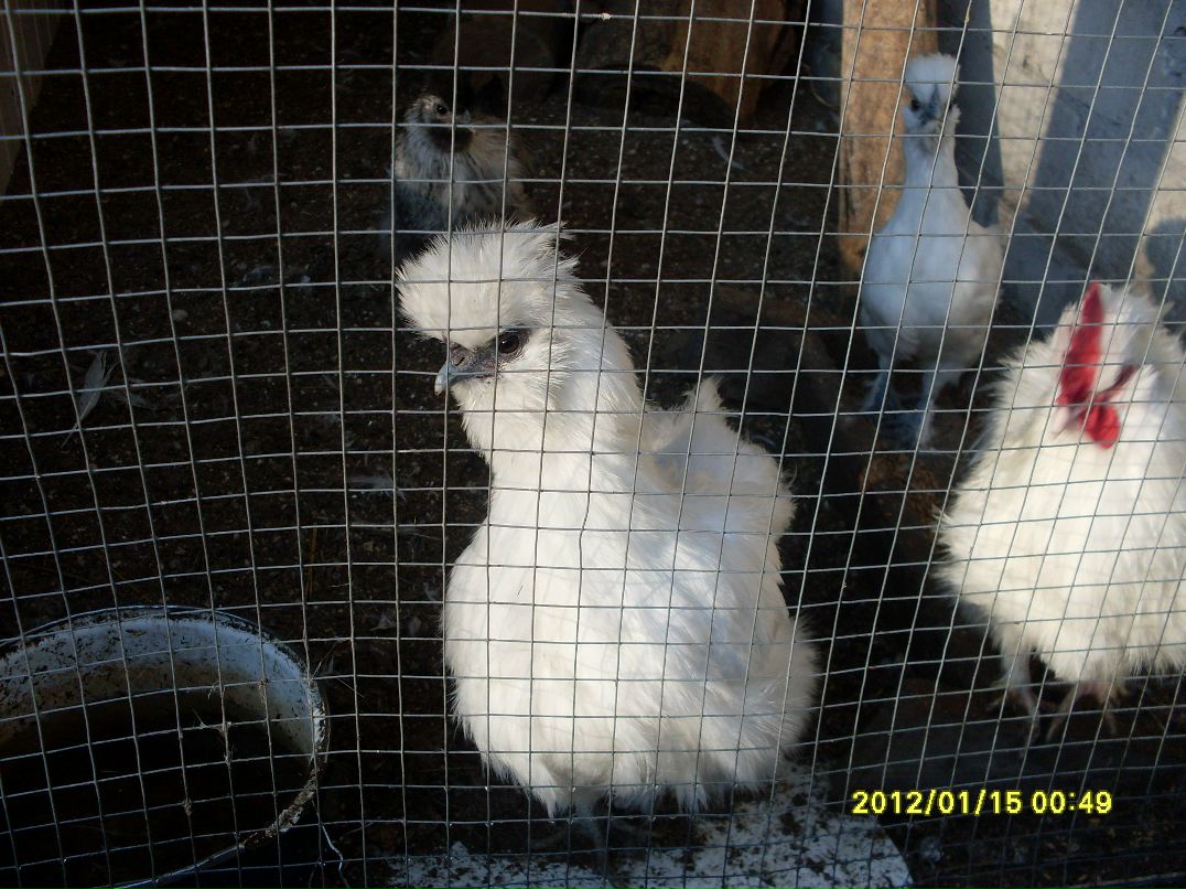 Надежда Тюпа | Мелитополь