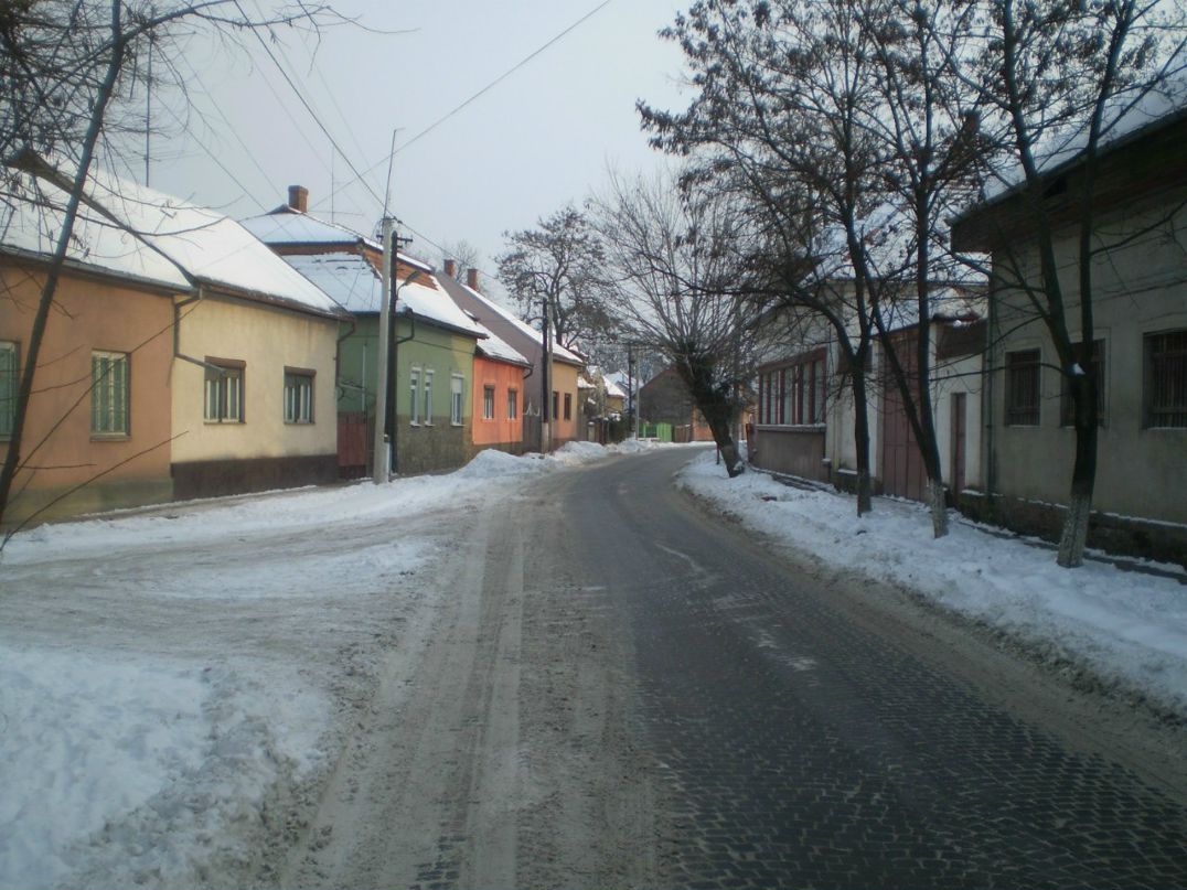 Григорий Анк | Берегово