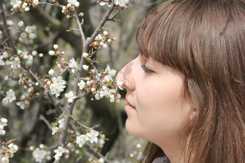 Анифеша Абдуллаева | 