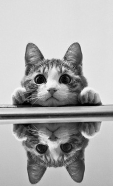 №135, Marisha Komisarova, Киев №135, Marisha Komisarova, Киев