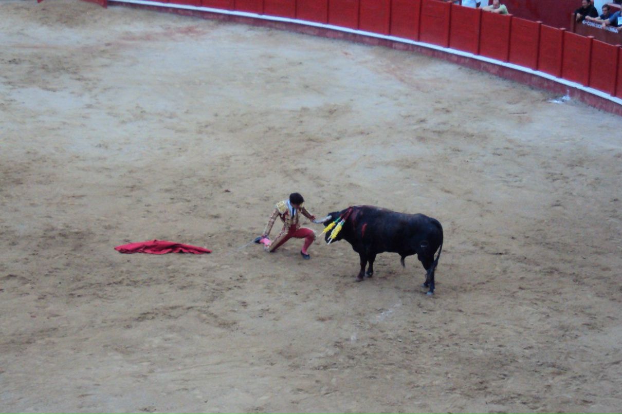 Ольга Маевская | Natal