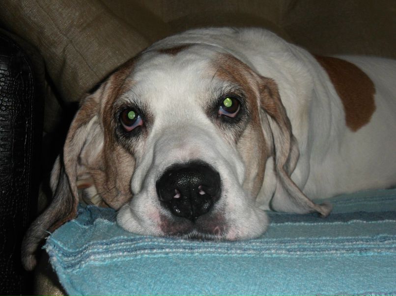 Ирина Шаяхметова | Казань