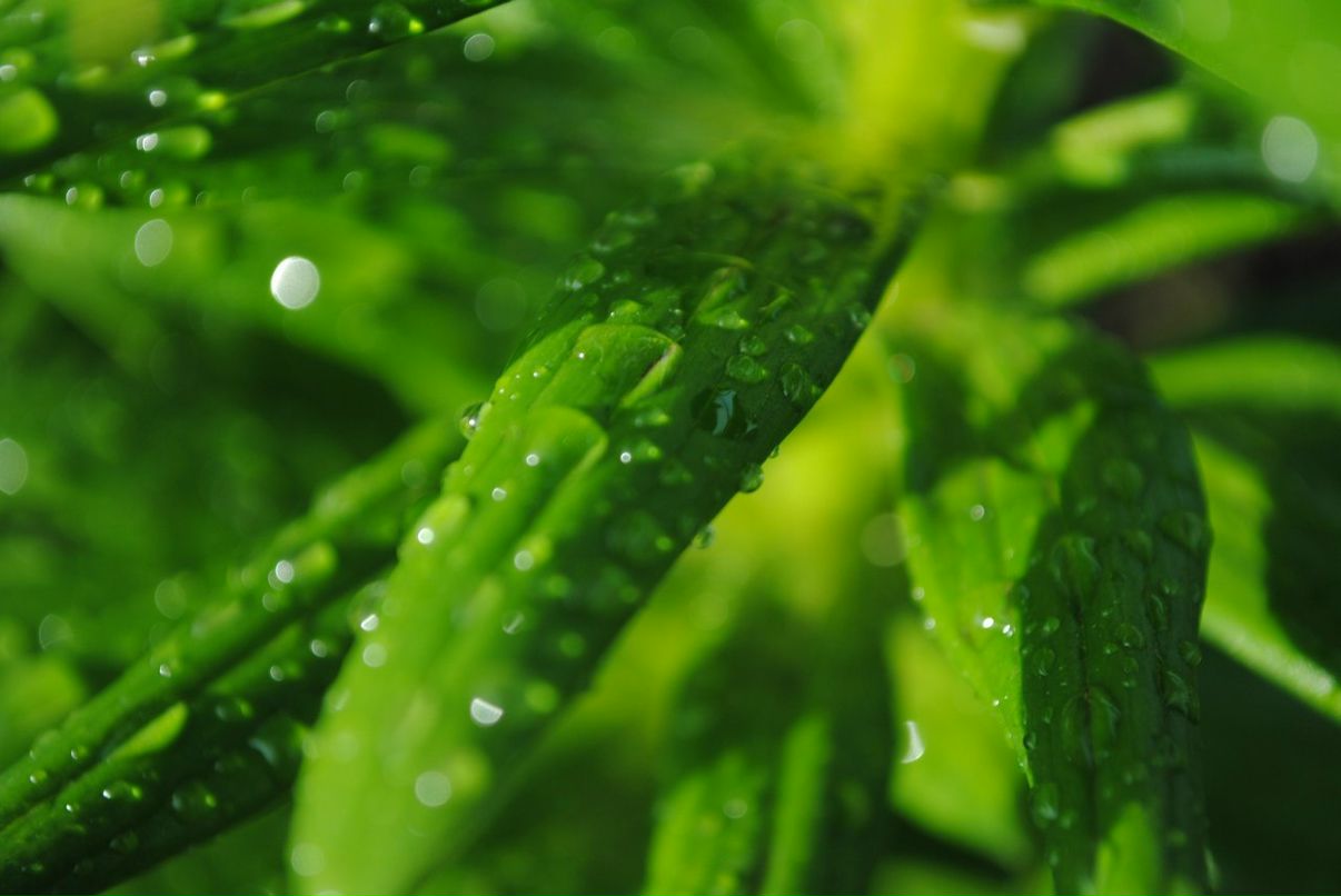 Алексей Корбуков Владимирович | Челябинск