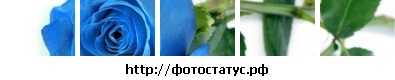 №128, Иришка Шевчук №128, Иришка Шевчук