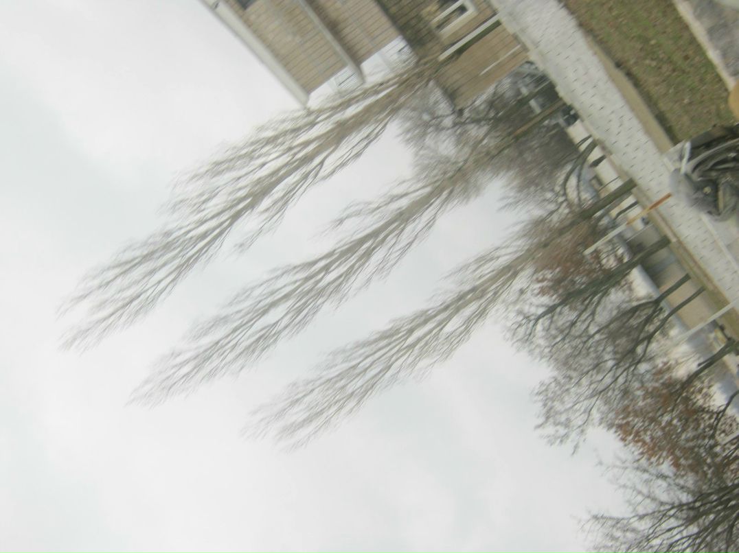 Дмитрий Осипенко | 