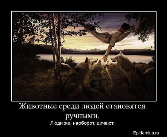 Маша Медведева | Oslo