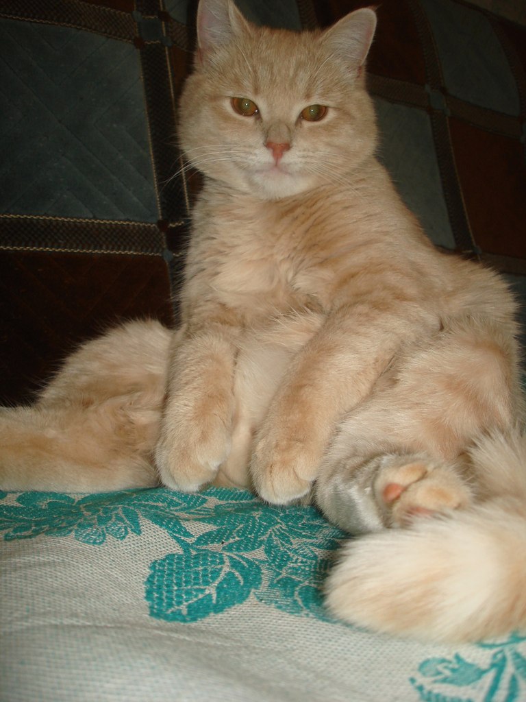 Алёна Виноградова | Ирпень