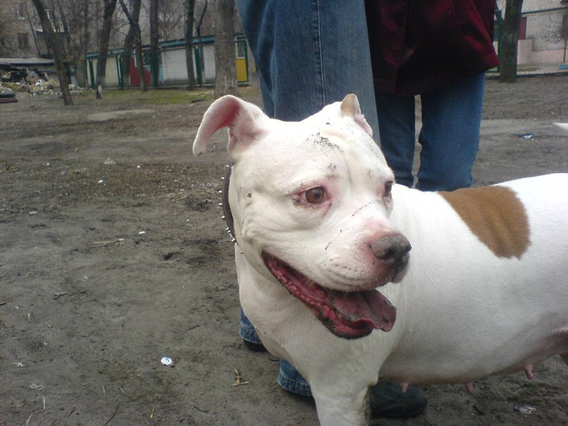 Жека Раджабов | Киев