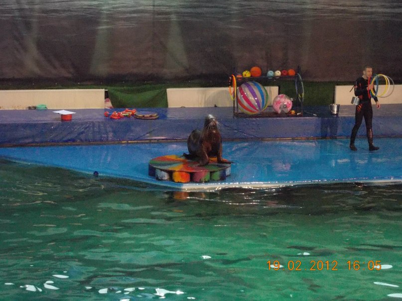 Надежда Алеева | Санкт-Петербург