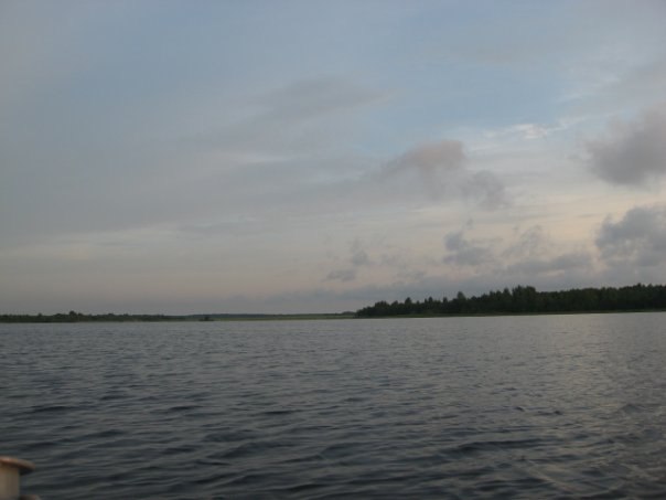 Дмитрий Трушев | Вологда