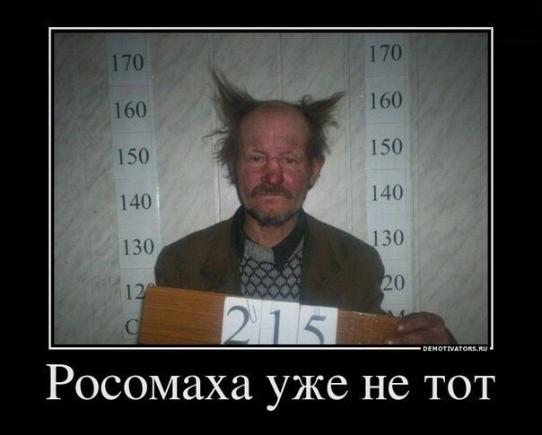 Илья Новиков | Санкт-Петербург