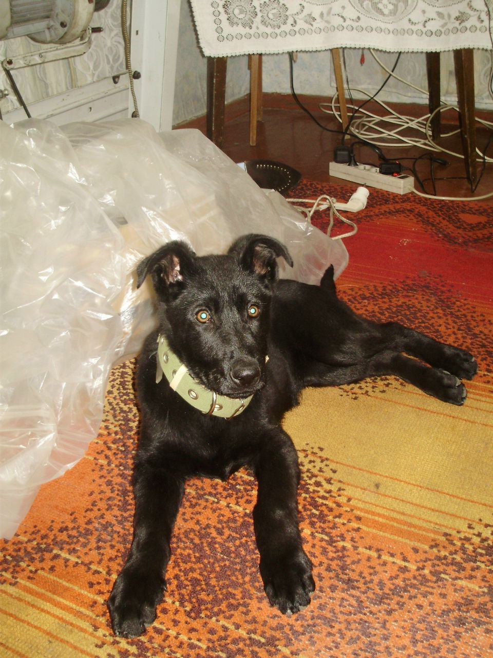 Игор Четвериков | Харьков