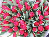 №13 Марина Володкина 22.12: профиль, фото, статус - ВКонтакте