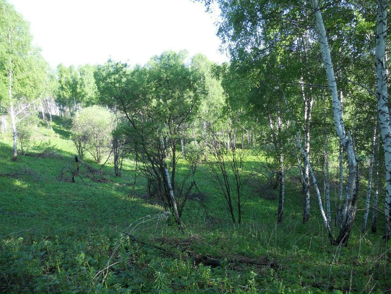 №24, Серега Ананьин, 33 года, Бийск №24, Серега Ананьин, 33 года, Бийск