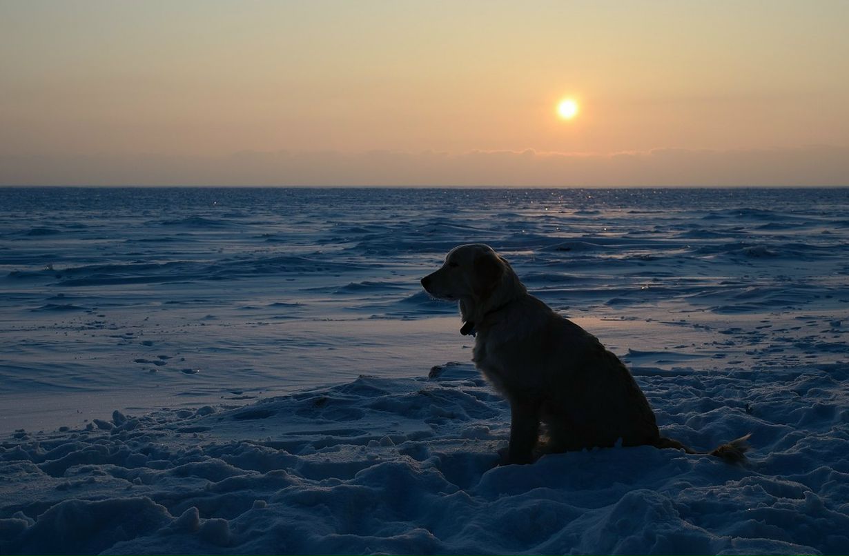 Виктория Гусева | Остров Кижи