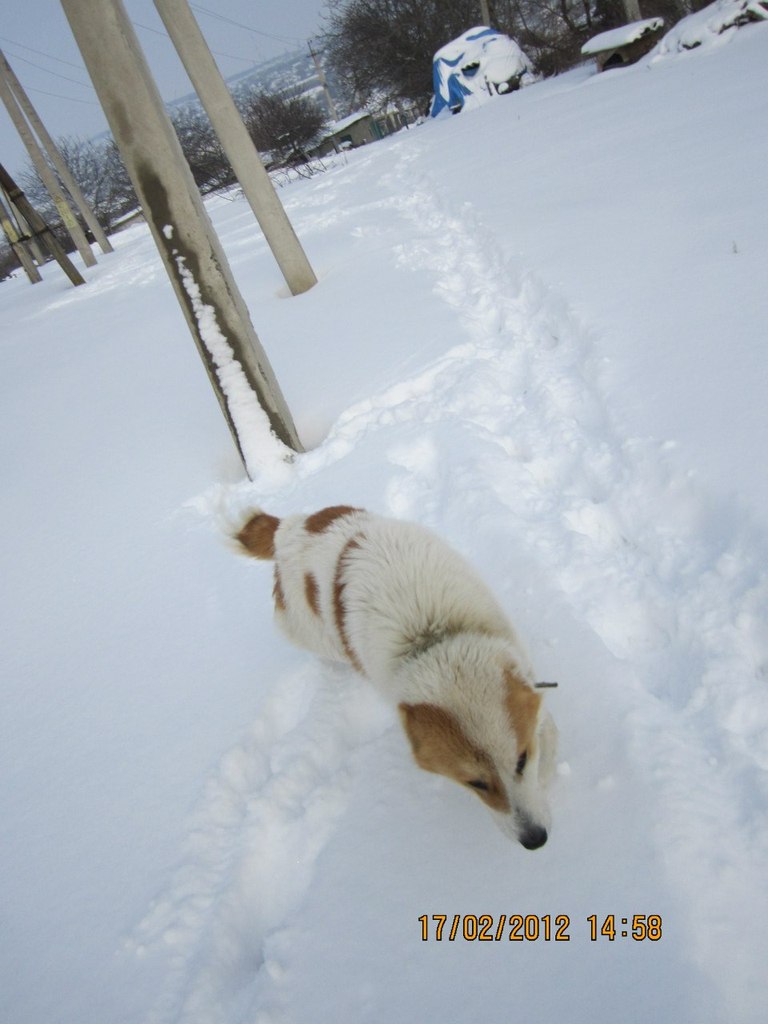 Лёня Бондаренко | Доманевка