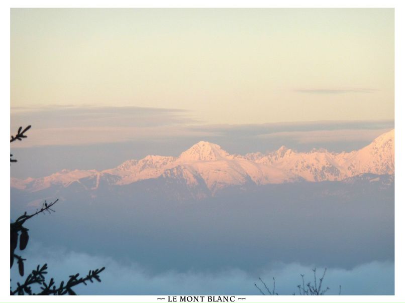 Дмитрий Коновалов 德米特里 | Балашиха
