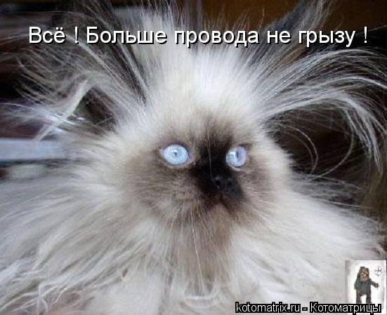 Стас Канюков | 
