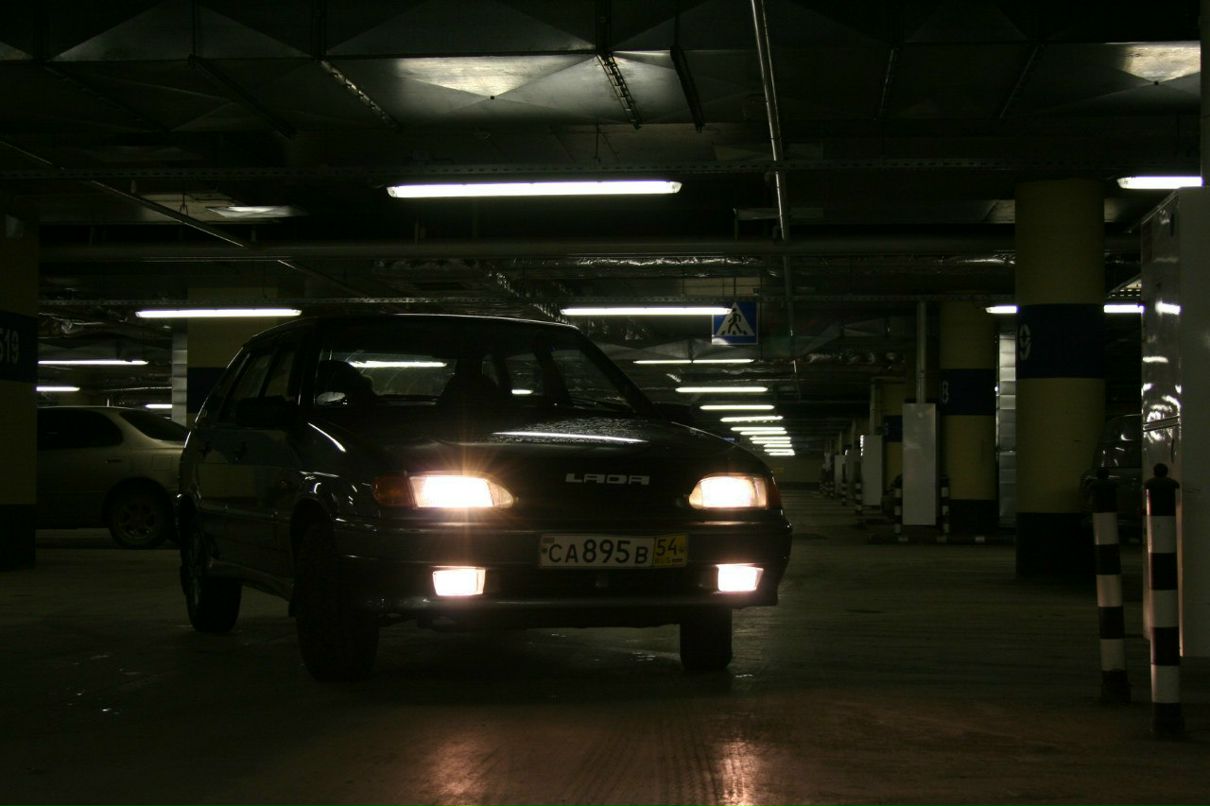 Петр Звеков | Новосибирск