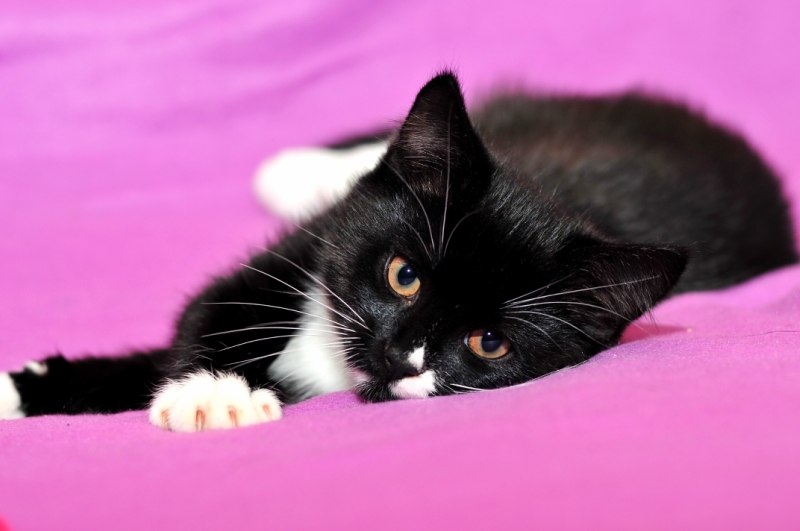 Оля Гривняшкина | Дедовск