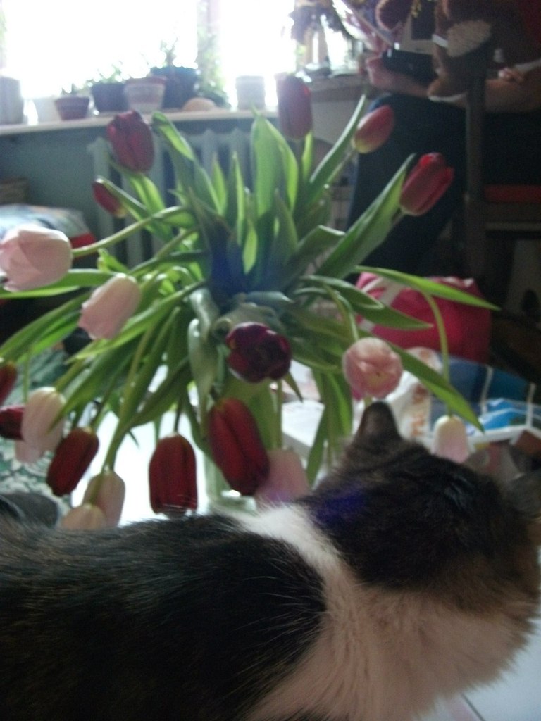 Тимофей Архангельский КРАСАВЧИК | Одинцово (деревня)