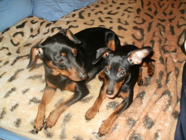 №28, Ирина Эльяшева, 41 год, Вильнюс №28, Ирина Эльяшева, 41 год, Вильнюс