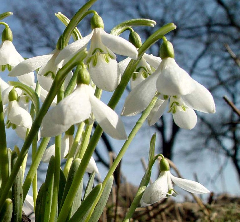 Лиана Садыкова | Октябрьский