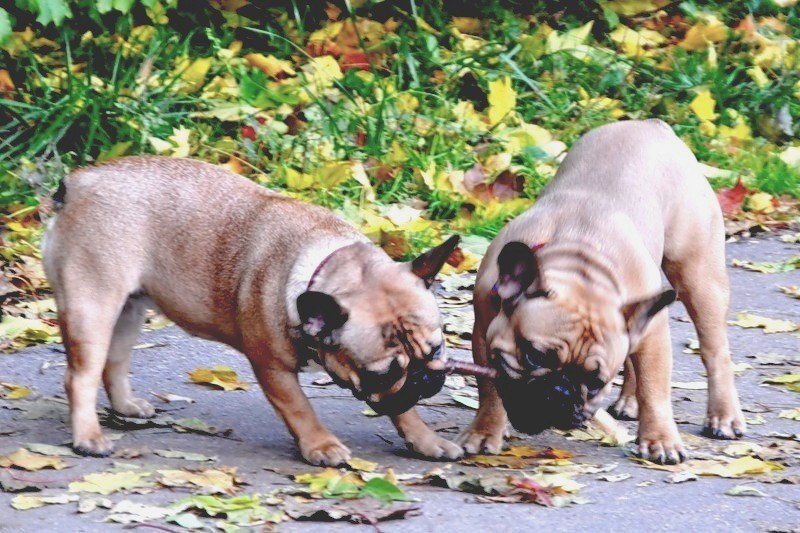 Руслан Харьковский =RUSIK= | Санкт-Петербург