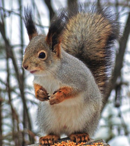 Влад Фролов | Казань