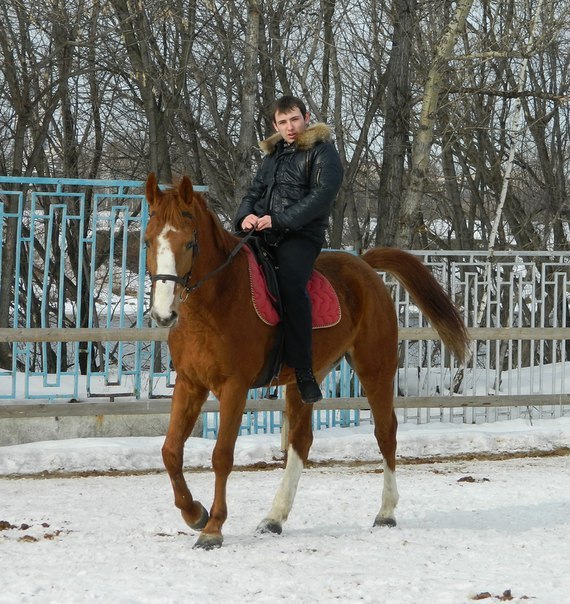 Алексей Шемякин | Москва