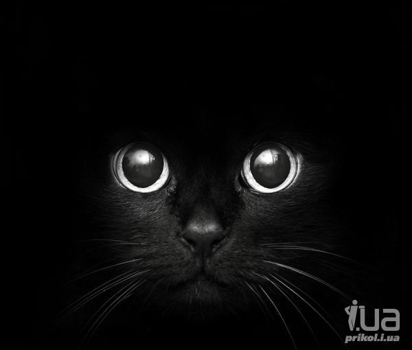 Марина Кулик | Минск