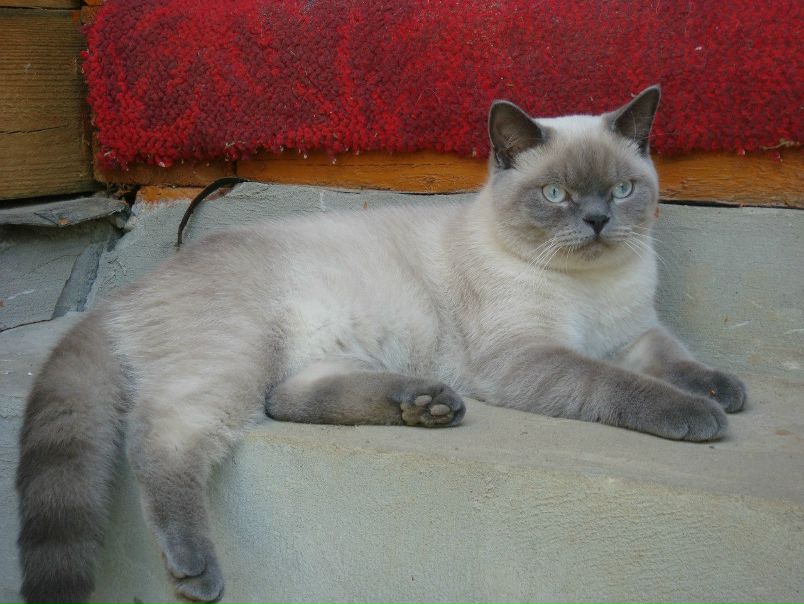 №98, Ирина Бородина, Калуга №98, Ирина Бородина, Калуга